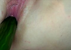 BBW assfucked with cock & cucumber